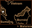 Malaisie - Cameron Highlands
